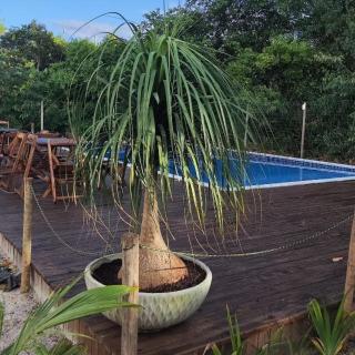 Apto novo, aconchegante e espaçoso (500m da praia) - 7