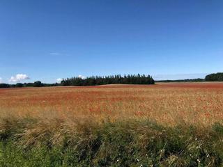 Authentic Holiday Home Atmosphere - 2