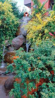 Dolphin Resort - Yelagiri - 4