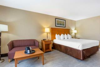 Best Western Danbury/Bethel - 8