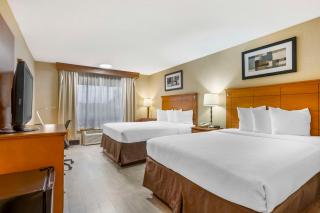 Best Western Danbury/Bethel - Bethel - 5