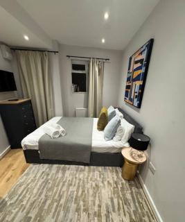 Cosy Studio Shepherds Bush Steps to Tube - Pass The Keys - Londra - 1
