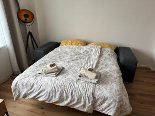 spacious flat near city center - Praga - 7