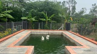 Thulasi Kudil - - 4