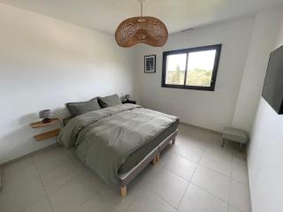 Villa contemporaine avec piscine - Sussargues - 1