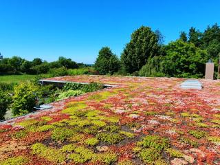 Ferienwohnung Hafenblick Ferienhof Geltinger Bucht - 9
