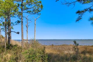 Tranquil Oasis - Pensacola - 7