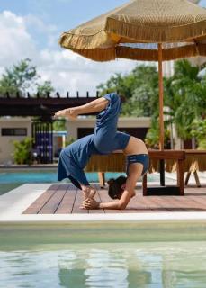 Amazing 2 Bdr PH Private pool terrace Jungle View - Tulum - 7