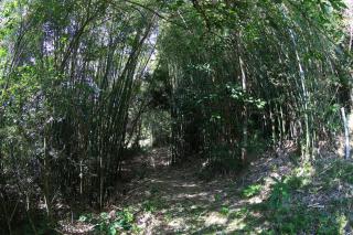 Casa em Garopaba - Praia Silveira, Brasil - 6