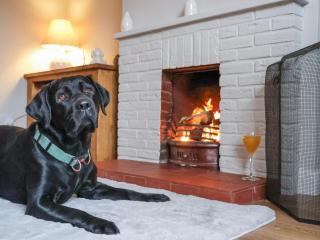 Fern Cottage - North Dalton - 6
