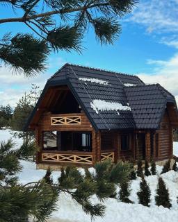 Brvnara Bor - Ribnica - 0