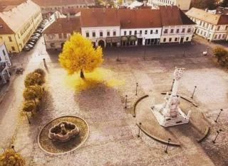 Apartmani La Sa - Osijek - 8
