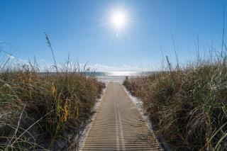 Top of the Gulf 620 - Beach Front Resort - Ocean View Couples Retreat - Panama City Beach - 6