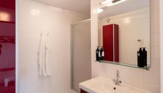 Waddenzicht 71 Ameland - tolle FerienwWohnung mit großer Dachterrasse für bis zu 4 Personen - Haustiere herzlich willkommen, strandnah - Buren - 2