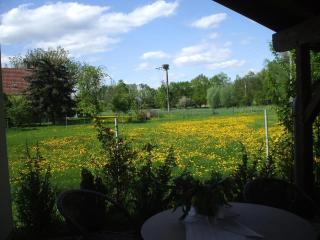 Ferienhaus In Kienitz Mit Grill, Terrasse Und Garten - Letschin - 8