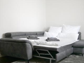 SeWo Fichte, Wohlfühl-Apartment mit Balkon in Wiesbaden - Wiesbaden - 1