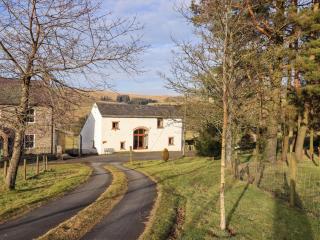 Middlefell View Cottage - 9