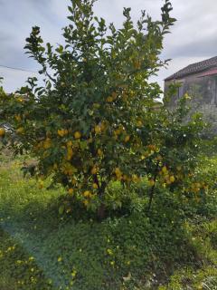 La Parentesi - Salerno - 3