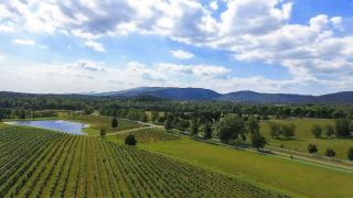 Fern Cottage - Family Home - 1