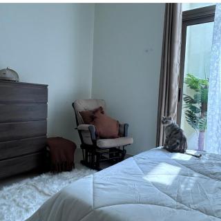 Cozy Master Room with its Own Bathroom - Abu Dhabi - 2