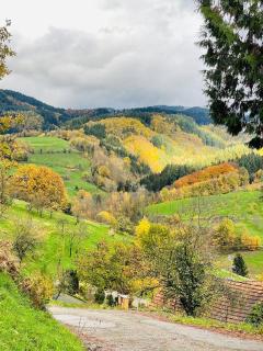 Einzigartiges Apartment, mitten in der Natur - 8