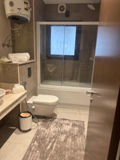 Zed Towers - Sheikh Zayed - 1