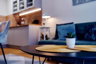LAGUNA Apartament Turkusowy Komfort 16 - Polanica-Zdrój - 3