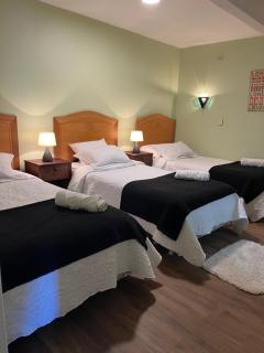 Hotel Nova Vida - Concepción - 0
