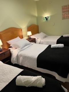 Hotel Nova Vida - Concepción - 6