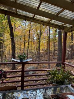 Spacious Room with a View of the Woods - 2