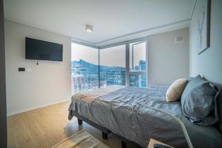 Modern Apartment with Unbeatable View - Santiago - 5