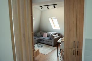 Apartman Borovi 15 Divčibare - Divčibare - 1