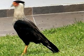 Pretty Modern Cabin at the Tourist Area Milagros - 8