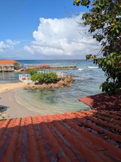 SoJo's Sandy Toes Santuary - Runaway Bay - 3