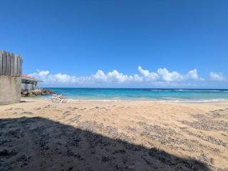 SoJo's Sandy Toes Santuary - 2