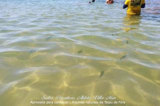 Suítes Privativas Aldeia Villa Mar - 7