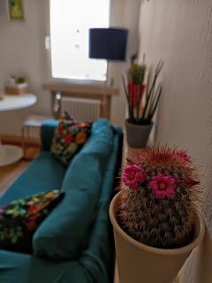 Casa Mirighì - Padua - 1