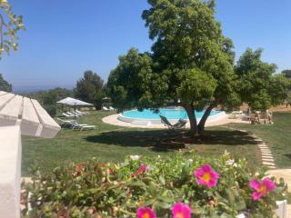 Villa Clive Relax & Sun - 4