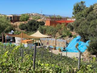 Lago Amor de Valle Glamping - Villa de Juárez - 7