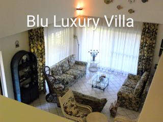 Blu Luxury Villa - 3
