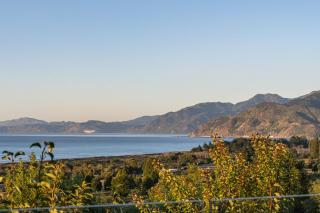 Modern Home in Peaceful Surround with Great Views - Kaikoura - 8