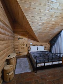 Cabana Daria Arieseni 3 - Arieşeni - 1