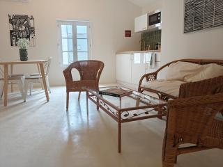 Grand appart 2 chambres - Hyper centre - Calme - Chinon - 0