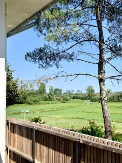 Agréable maison avec vue sur les barthes - Soorts-Hossegor - 9