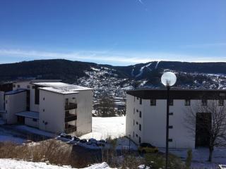 Kaloujot Chez Julien Hauteurs Gerardmer - 2