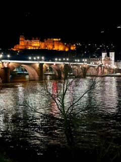 stylish suite OldTown free parking Air Condition - Heidelberg - 1