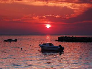 Apartments Mandre near sea - Mandre - 6