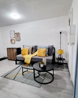 Studio contemporain aux portes de Genève - Ferney-Voltaire - 8