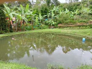 Casa de campo Angestral Campestre - 5