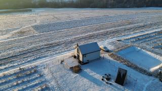 Gospodarstwo Agroturystyczne Borówkowy Bukiet Smaków - 7